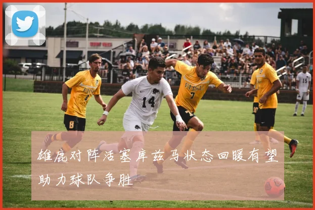 雄鹿对阵活塞库兹马状态回暖有望助力球队争胜