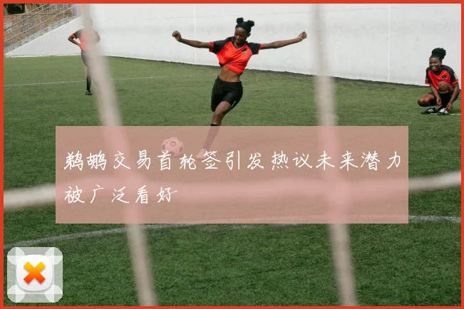 鹈鹕交易首轮签引发热议未来潜力被广泛看好